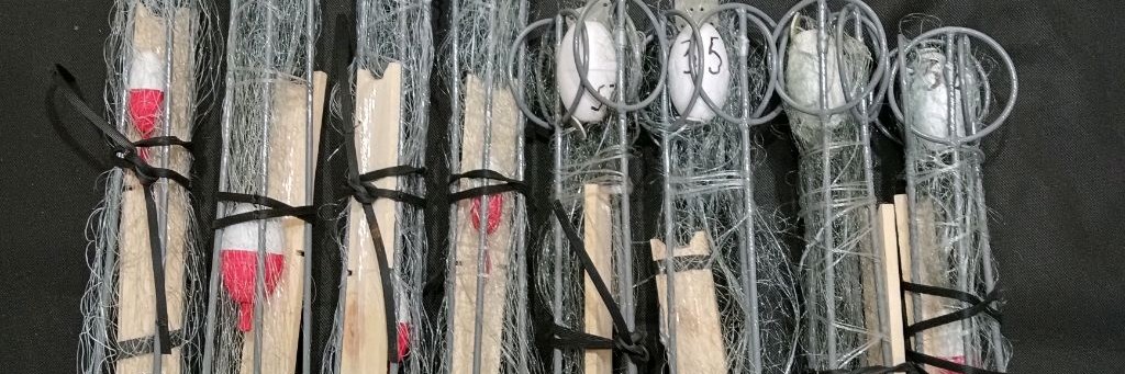 Хапуга хлопок.