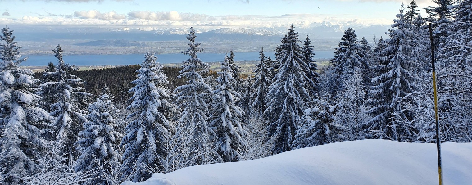 Лесфраиссинеде