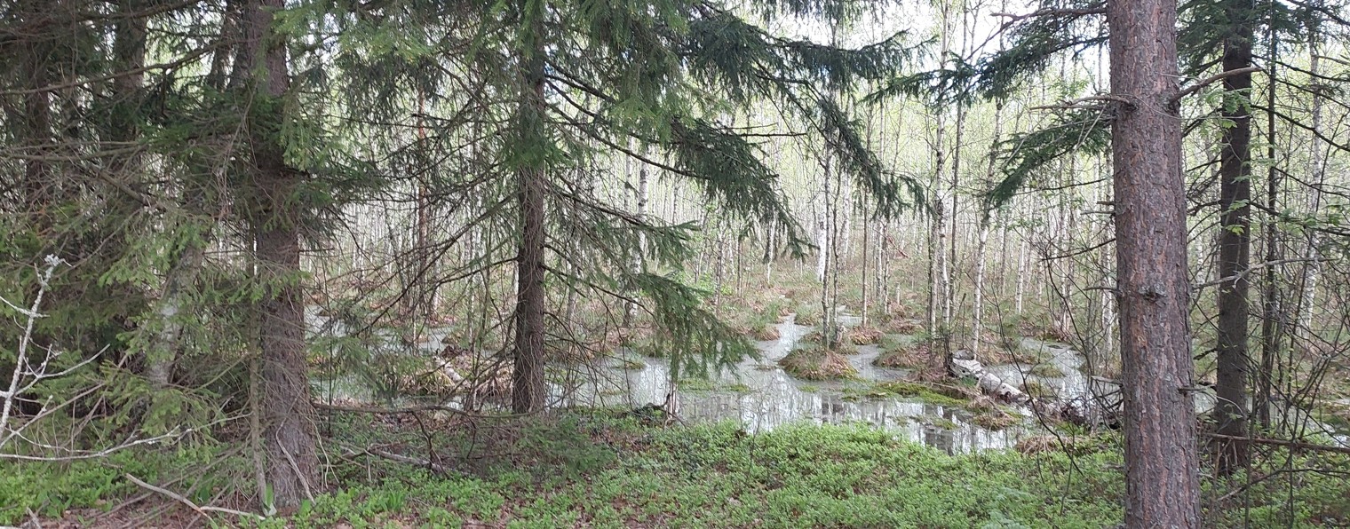 Охотники Рязанской области