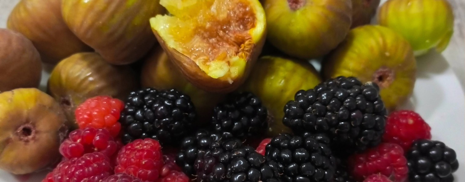 РОСТОВЧАНЕ