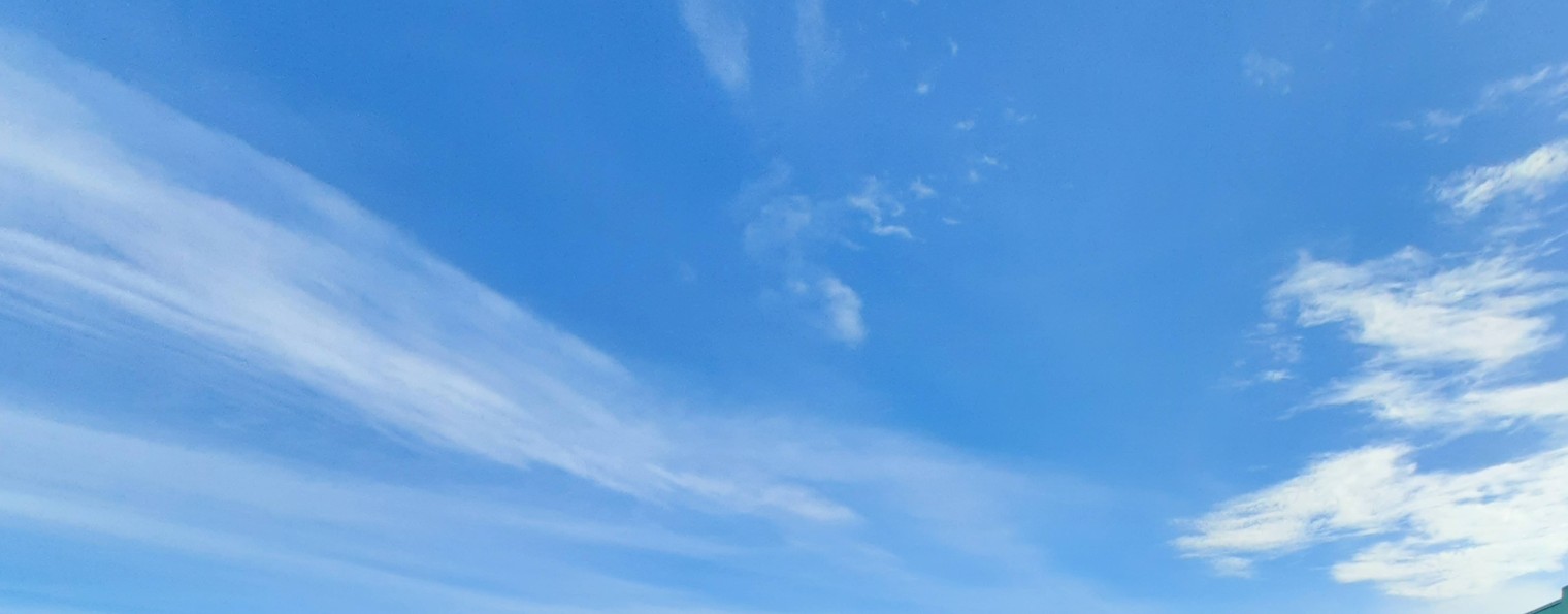 Булочка с корицей