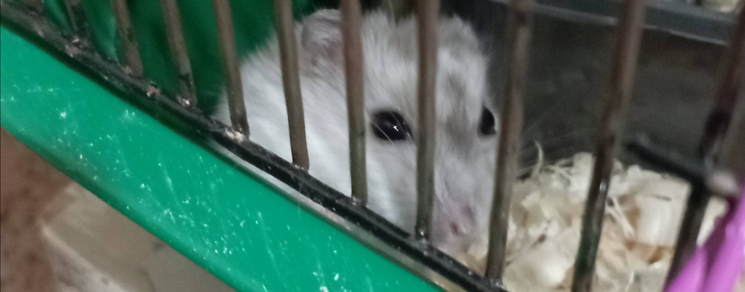 Интересное