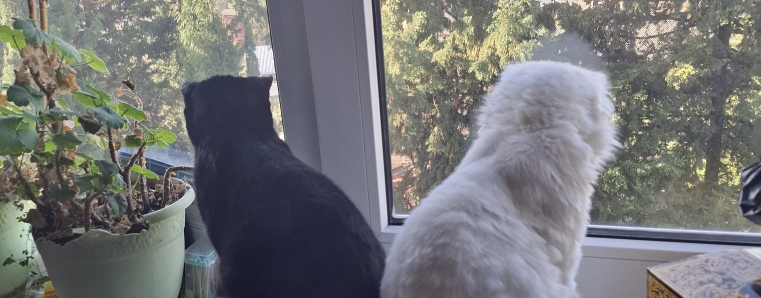 Таксуем в Сочи