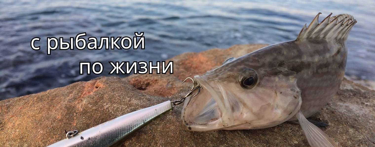 Angler  trip