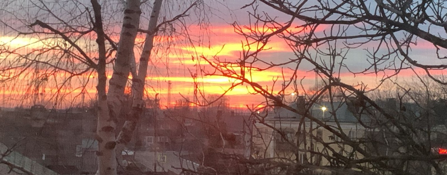 Киса Алиса 💖