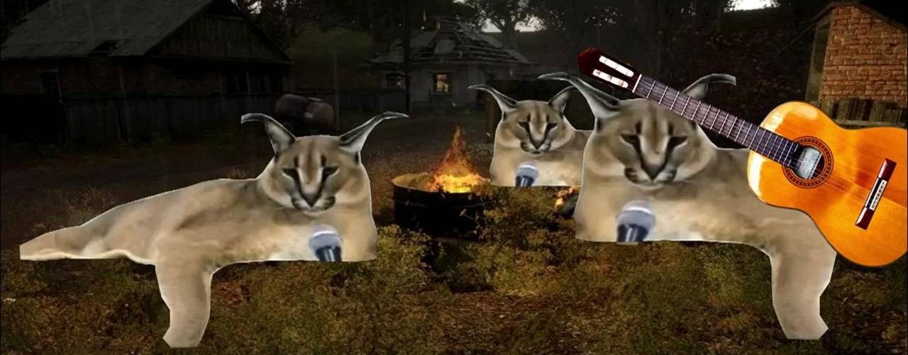 шлёпы братья