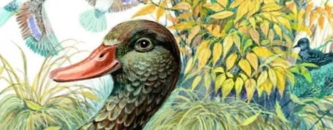 rutube_account_9335706