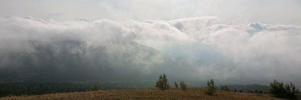 Команда Андреича | Andreich's team