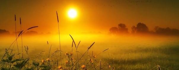 Путь к реальности