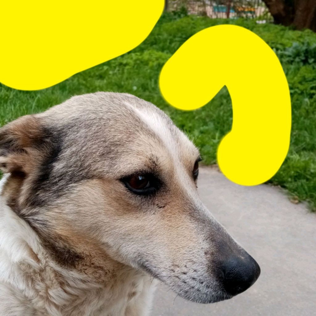 Сергей геймс