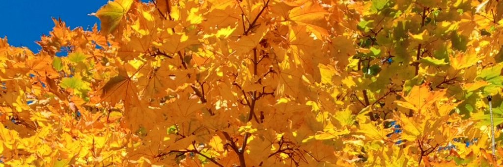 Дом для выходных