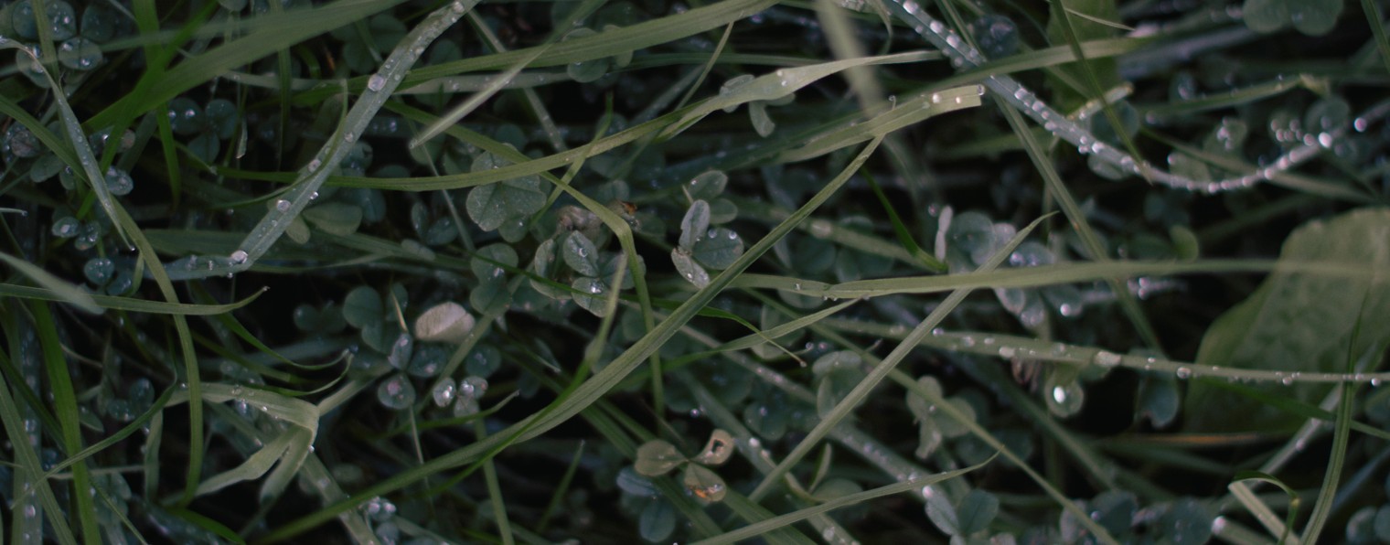 PRO Здоровье с Евгенией Черных