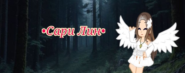 •Сари Лин•