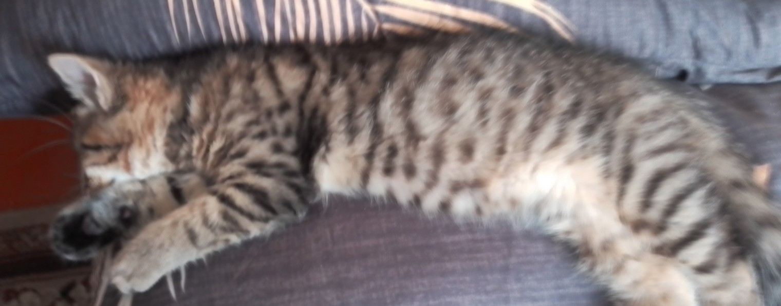 Прикол. Юмор. Жизнь. Разное