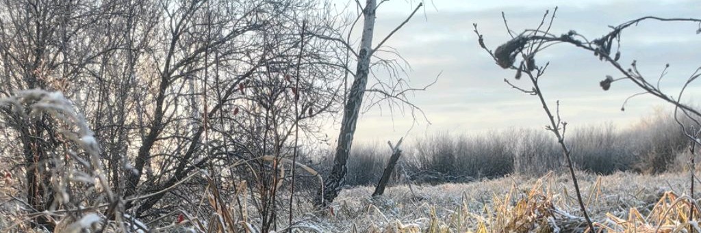 Добрый Иван