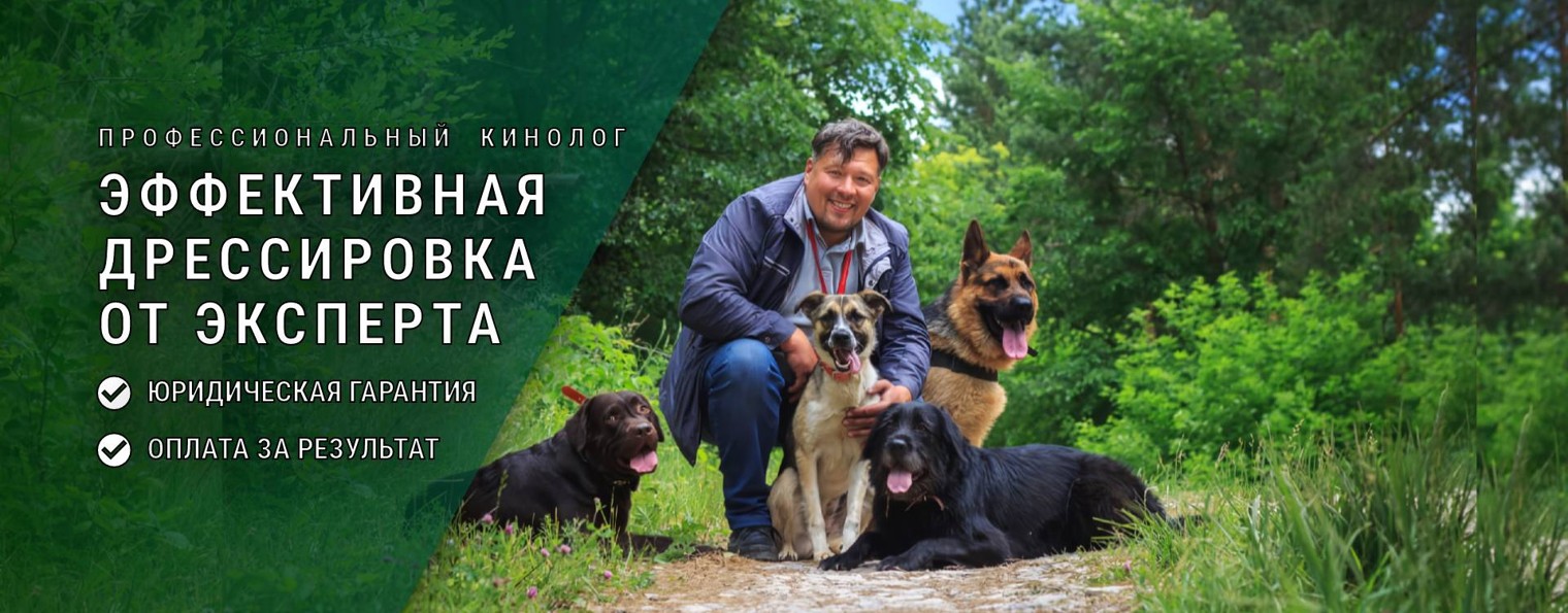 Игорь Алтайский|Кинолог|Дрессировка