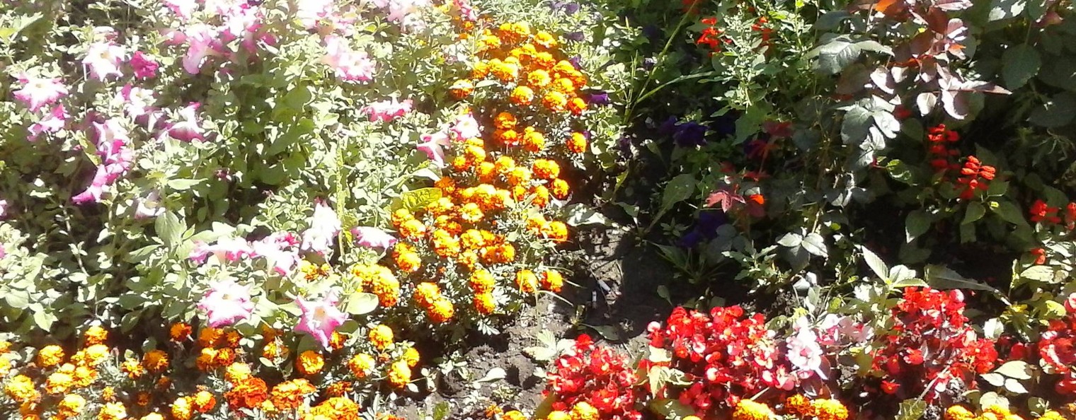 Галина Гулина