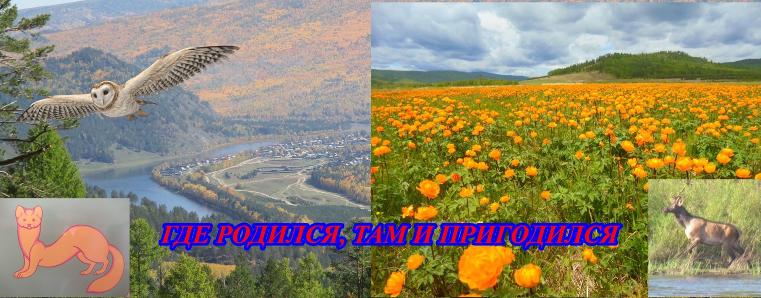 На берегах таёжного Чикоя