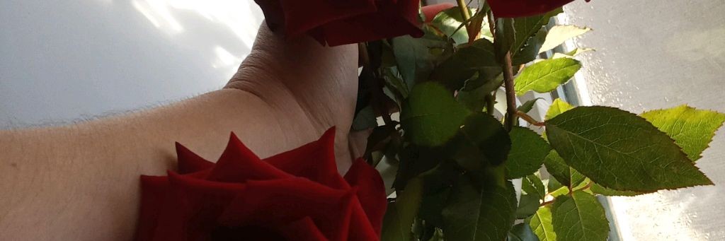 Юлия Сапожникова