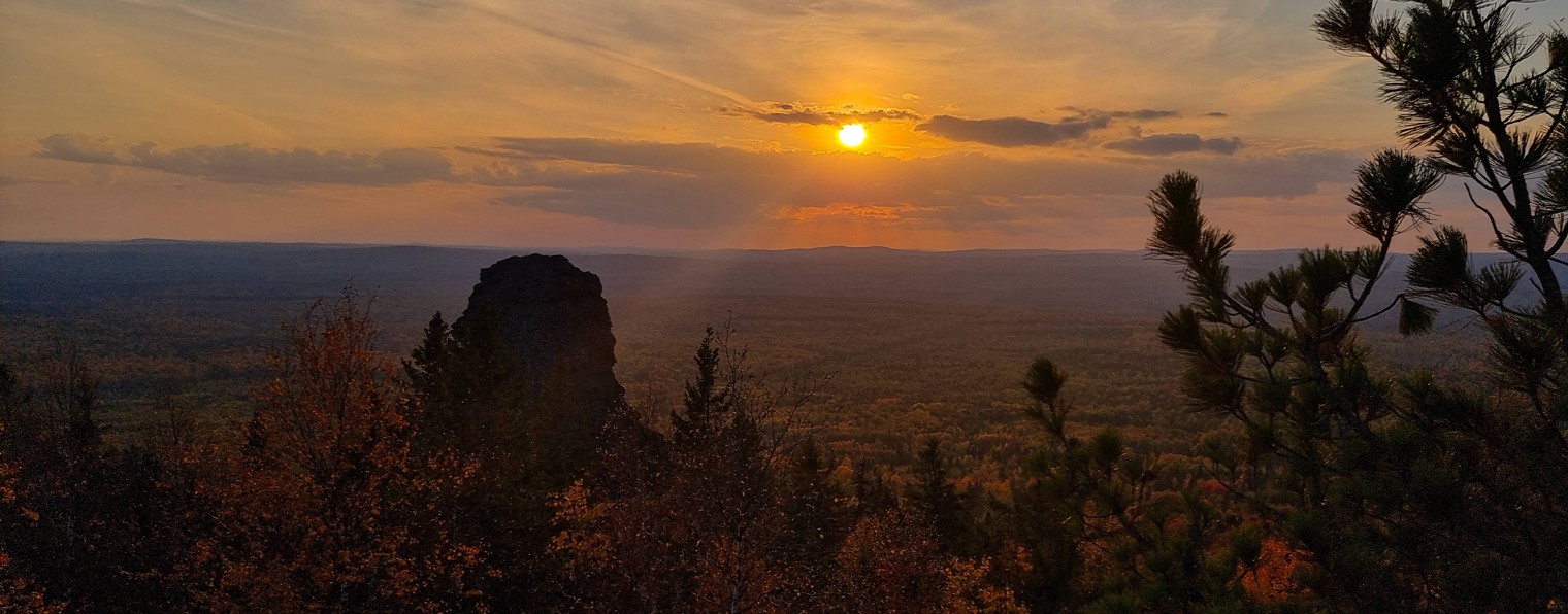 Лесными Тропами