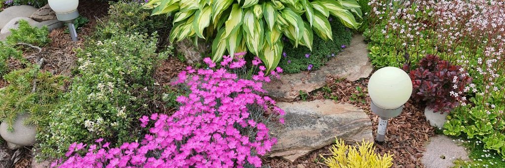 Калейдоскоп🍁