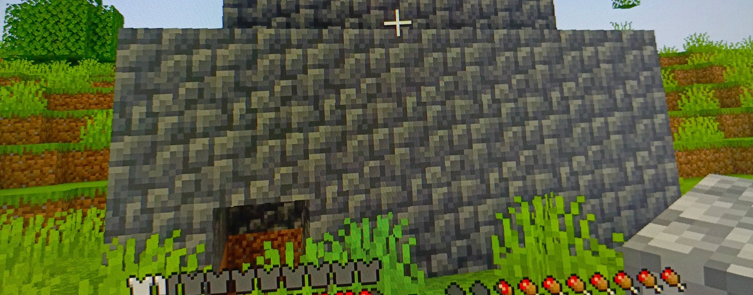 мастер по компьютерным вирусам