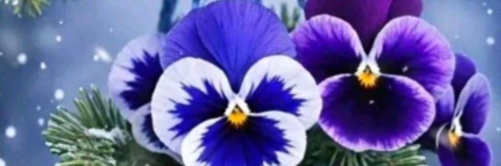 Алевтина Рудакова