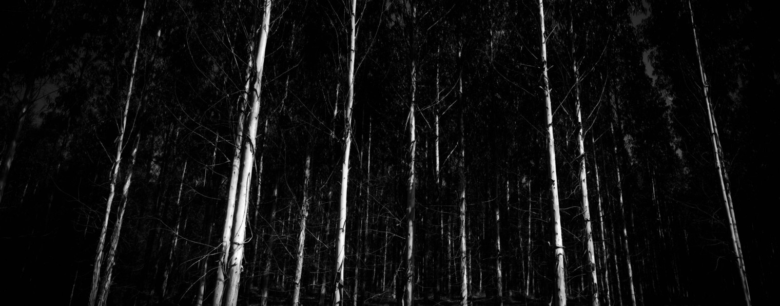 Ксенофонтов В.Н. ПРО-303Б