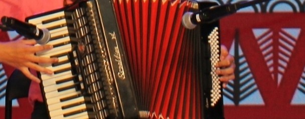 Аккордеонист Серго