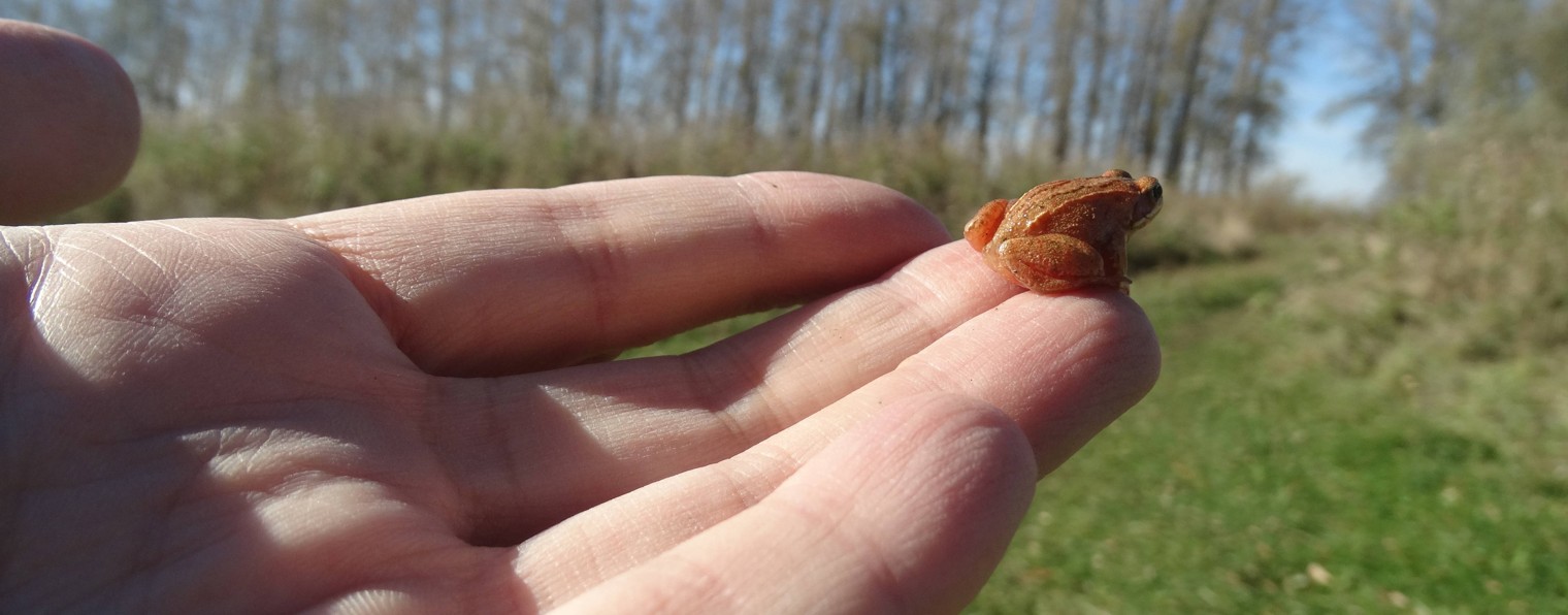 Выходной Маршрут