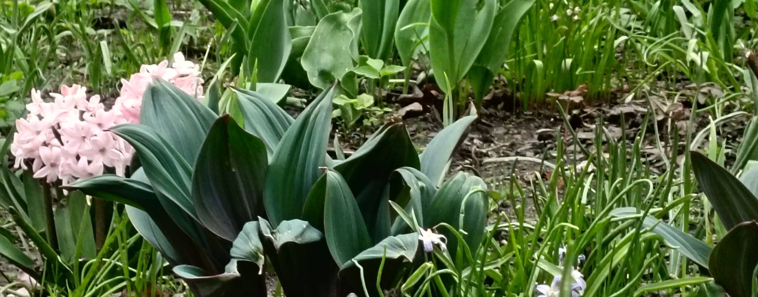 Дачные будни и не только