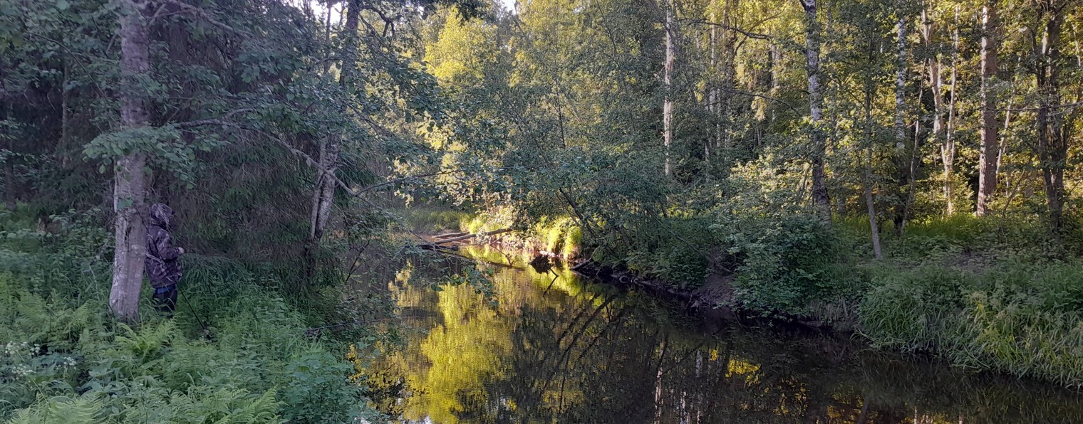 Николай Брик на походной тропе