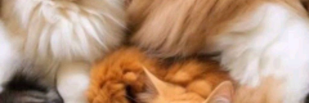 Дарина Блог 💜☑️