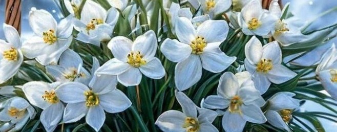 Яков Пештерян  Авторская Христианская Музыка
