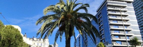 ДЕМЬЯН ИНЖИРОВ