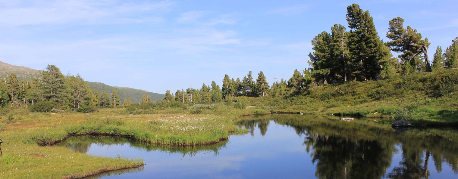 Клуб РГО "Вега". Иванов Ю.П.