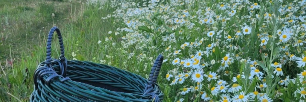 Ателье Плетения