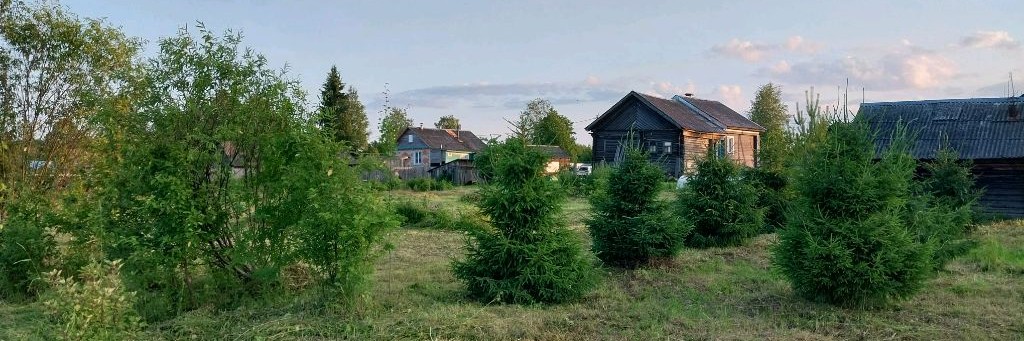 Рождённый в СССР!