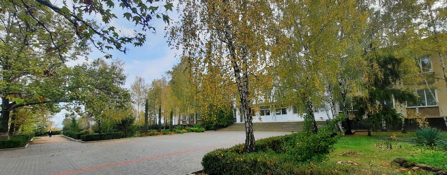 Любовь Ляднова