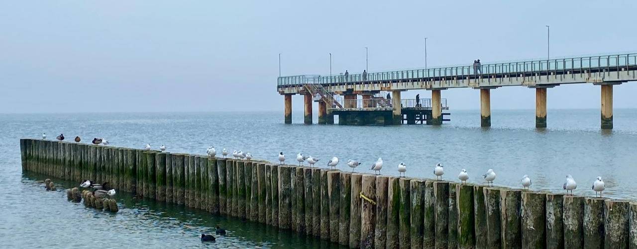 Из Н-ска в Деревню.