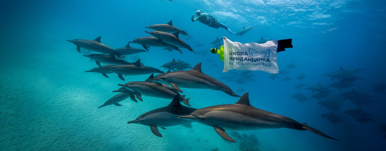 Школа фридайвинга им. Натальи Молчаной