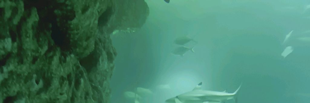 Секреты Игры😱