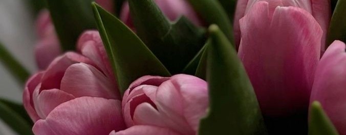 Анастасия Крисман | психолог, астролог