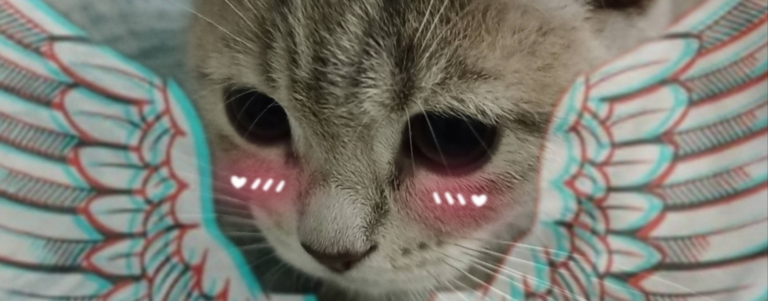 Рыжий блогер К6