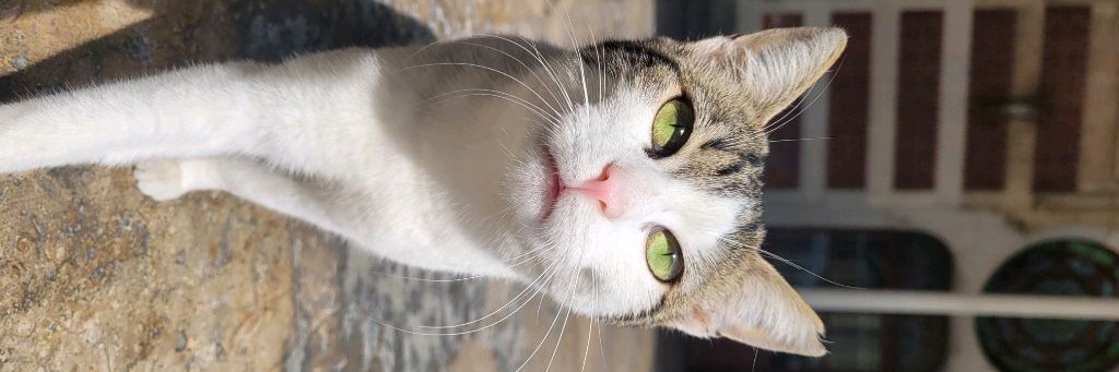 О жизни с Любовью