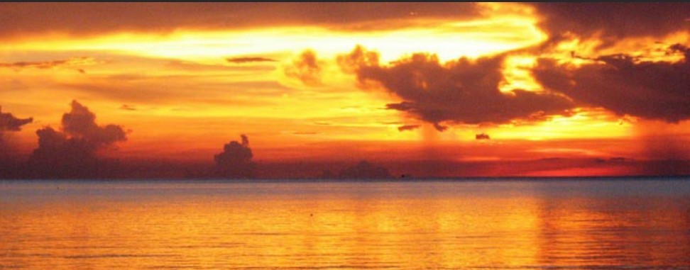 РАНЧО "ЛОШАДИНЫЕ СИЛЫ"