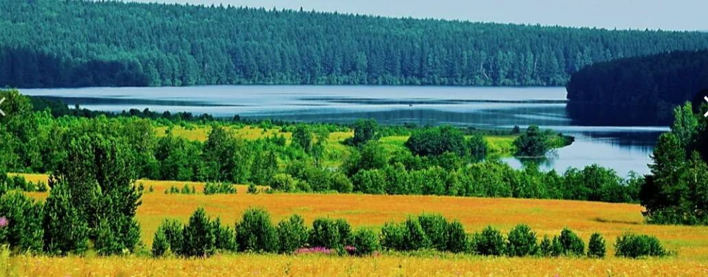 беспредел, насилие, треш в СНТ Раздолье-2 Иркутск