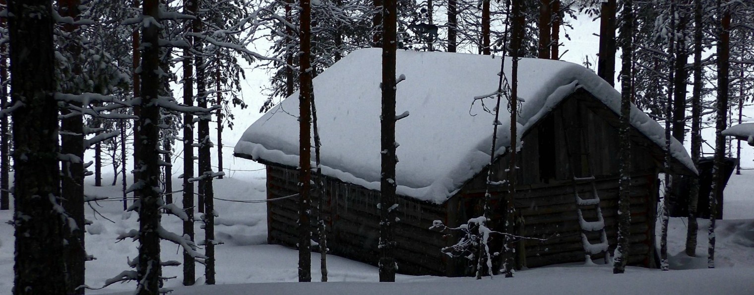 МУЖСКОЕ ПРАВО