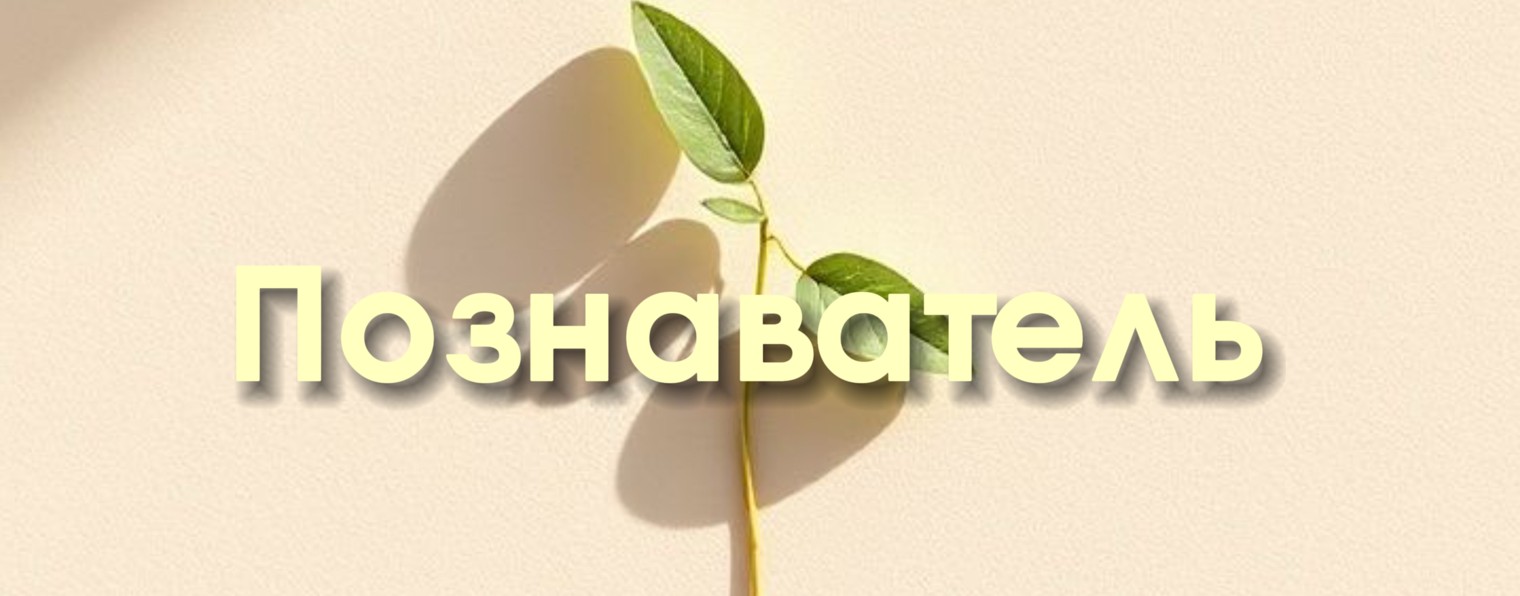 Познаватель Дима