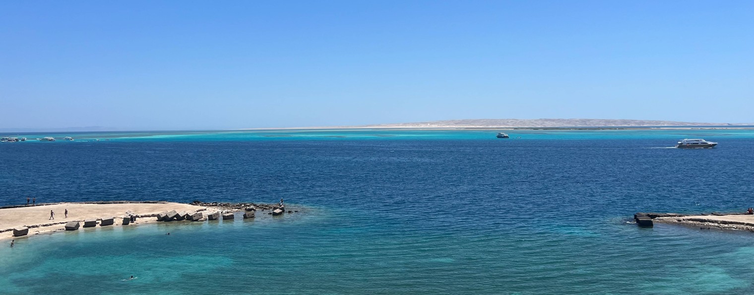 Ирина Чорба